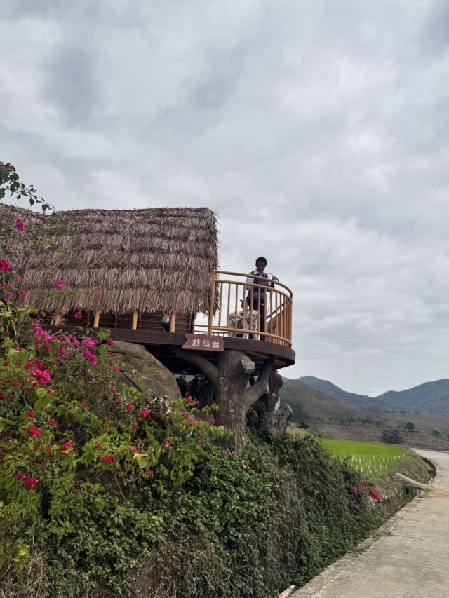 牙胡梯田景区旅行图片 9