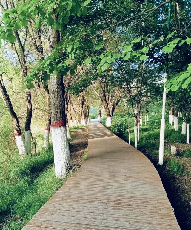 博乐滨河公园旅行图片 2