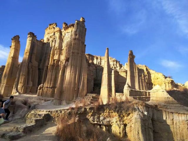 浪巴铺土林旅行图片 1