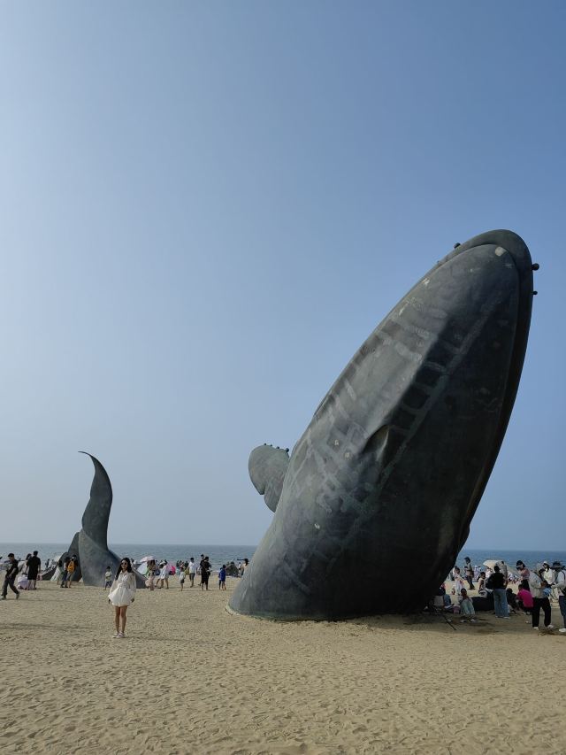 孤独的鲸旅行图片 1