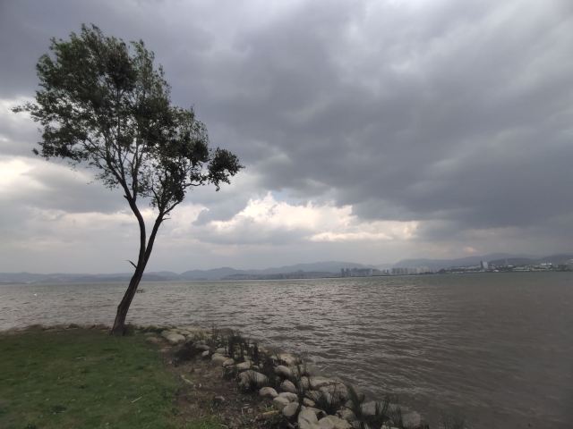 洱海月湿地公园旅行图片 7