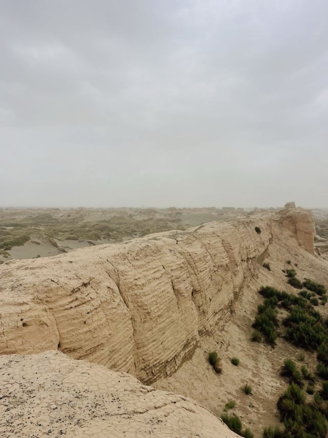 锁阳城遗址旅行图片 3
