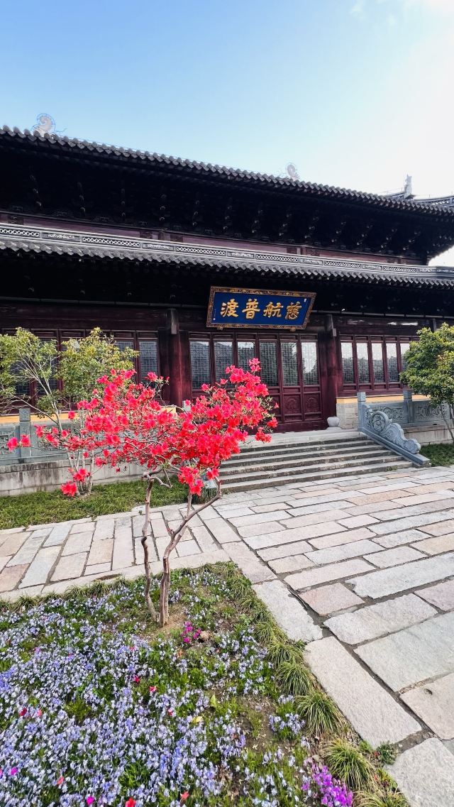 南山律寺旅行图片 5