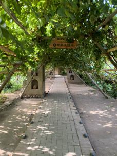 千里葡萄长廊-和田县-YoYo_0J3U5A7S