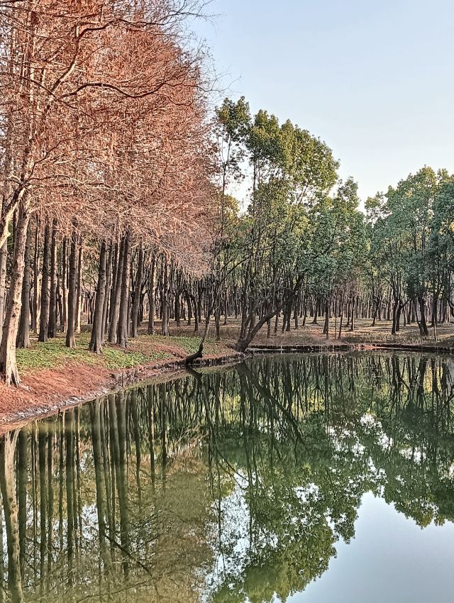 横沔公园旅行图片 6