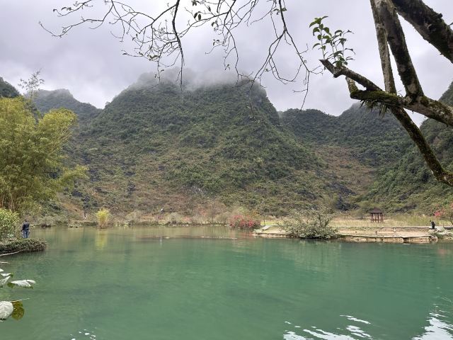 鹅泉跃鲤旅行图片 3