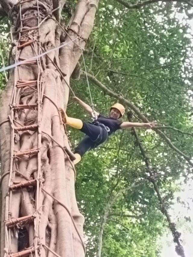 基诺山雨林徒步旅行图片 5