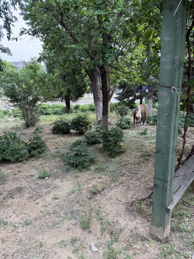 熊岳植物园旅行图片 2