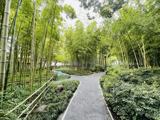 古城公园旅行图片 1