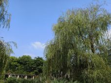 老山国家森林公园-南京-zwh77