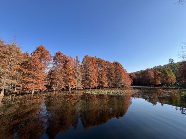 南京小九寨沟旅行图片 3