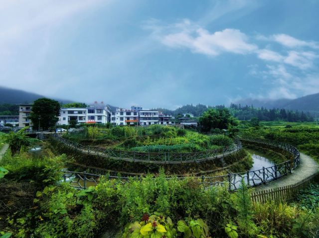 青竹村文化广场旅行图片 1