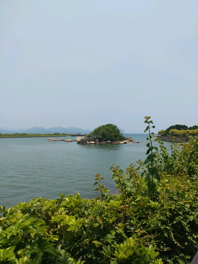 礁石公园旅行图片 4