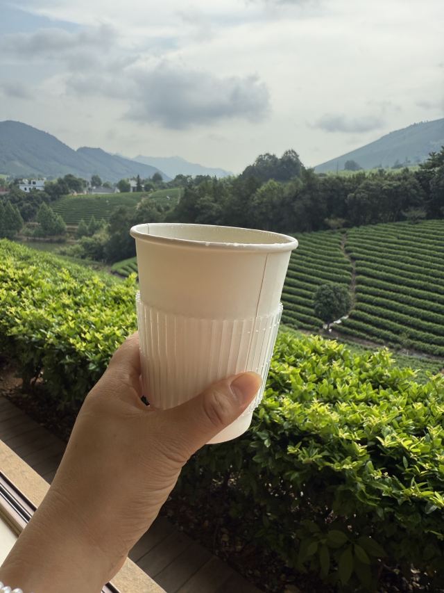 白茶原·安吉白茶观景平台旅行图片 4