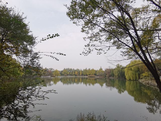 未名湖旅行图片 3