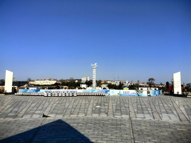 养马岛林间花海旅行图片 2