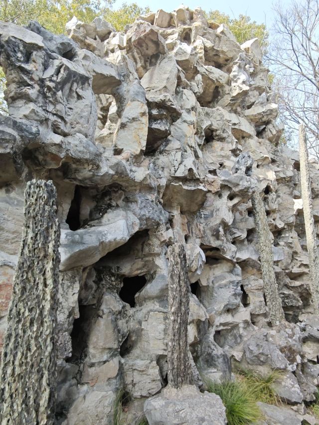 蠡园旅行图片 3