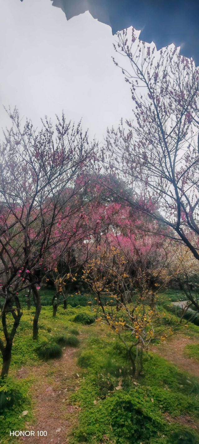 扬州大运河文化旅游度假区·史可法纪念馆旅行图片 4