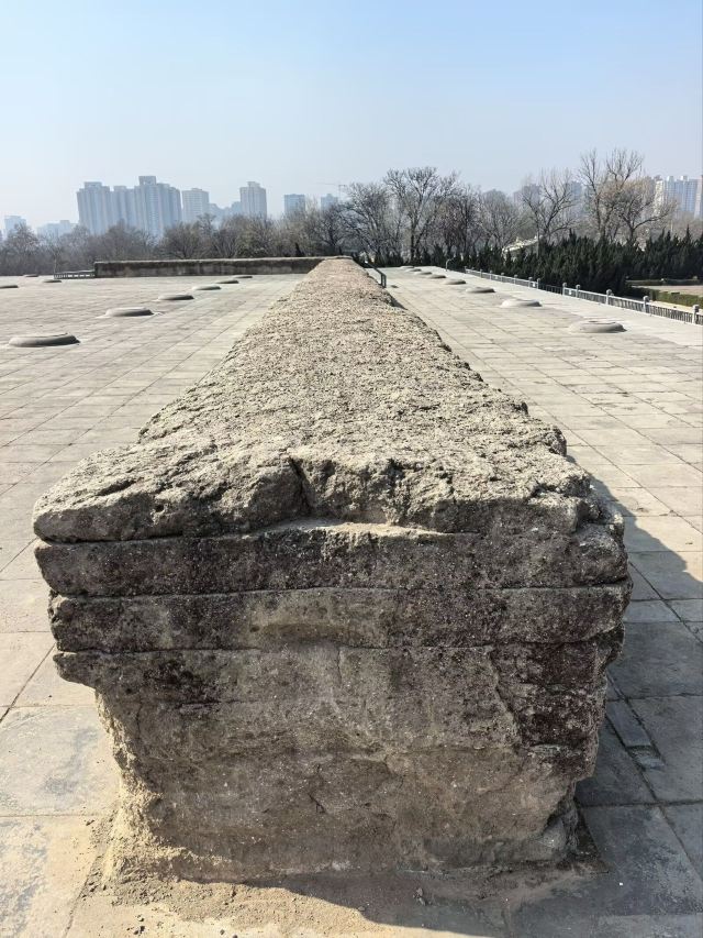 大明宫国家遗址公园旅行图片 4