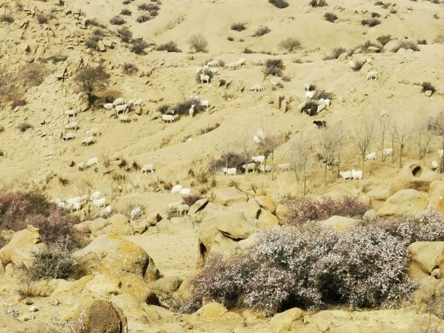 风蚀冰臼地质公园旅行图片 11