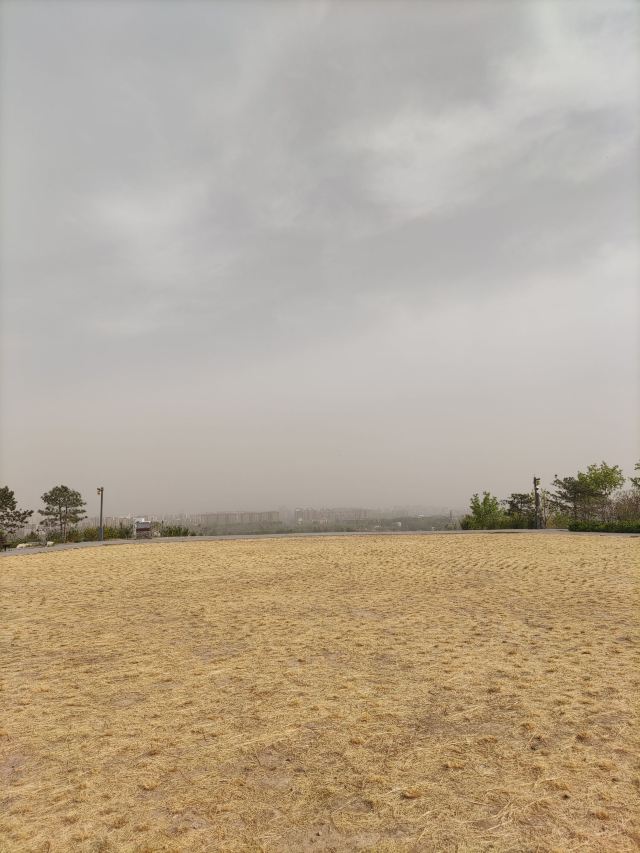 南苑森林湿地公园旅行图片 9