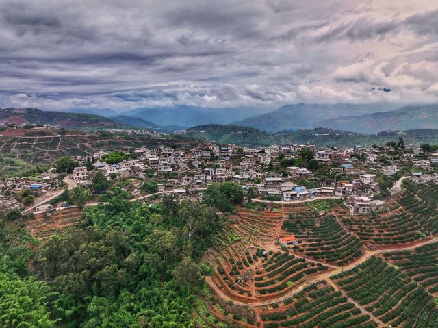 哀牢山国家级自然保护区旅行图片 3