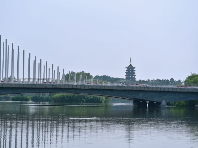 东湖公园旅行图片 3