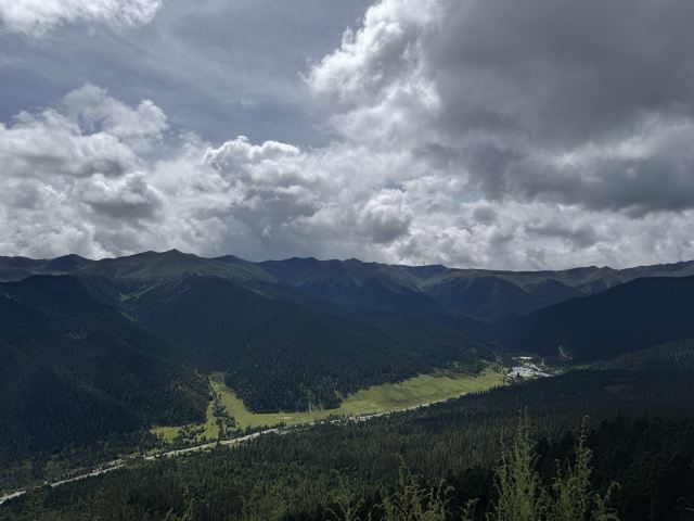 鲁朗林海风景区旅行图片 5