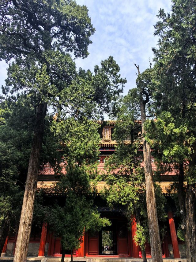 孟子故里旅行图片 3