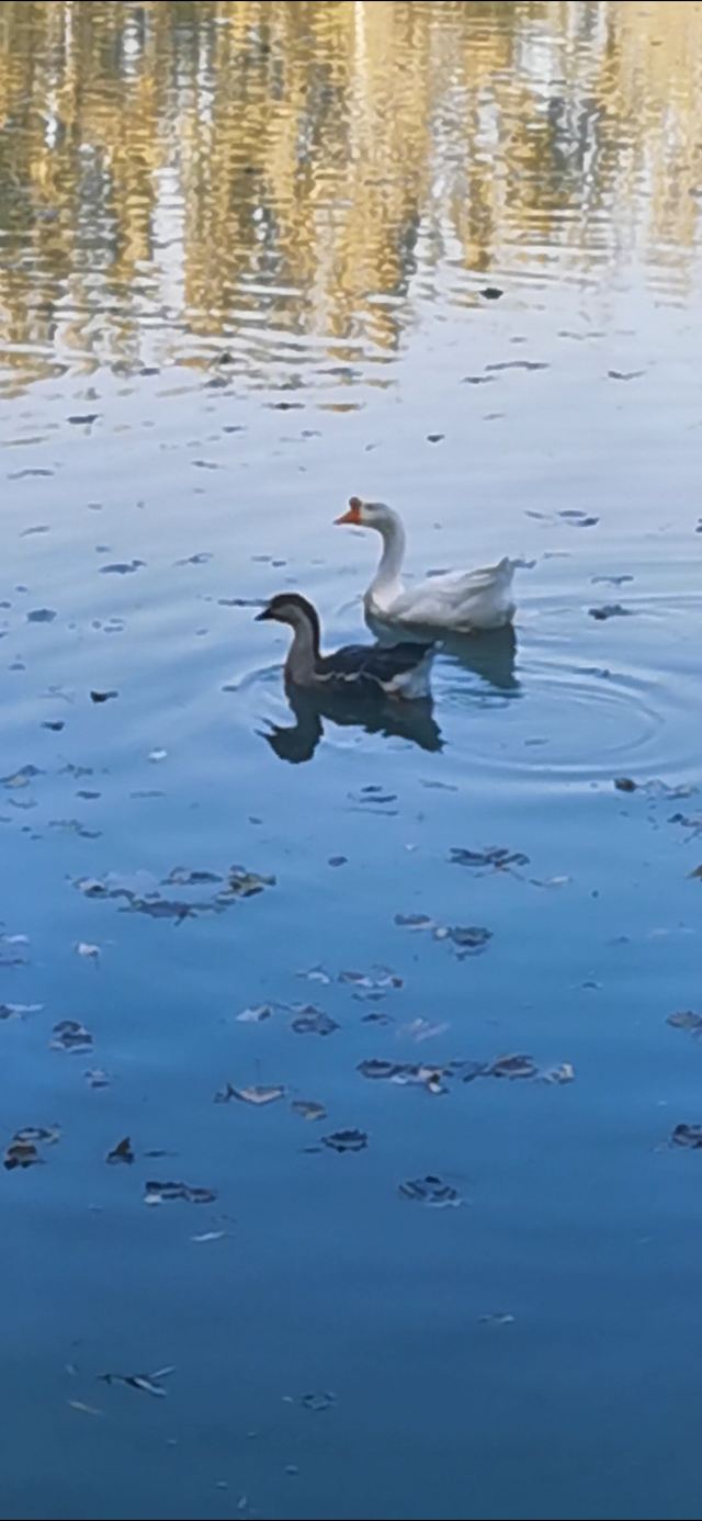 西汉酒泉胜迹旅行图片 5