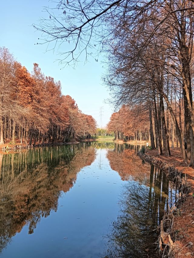 横沔公园旅行图片 15