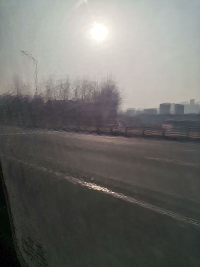 府河郊野公园旅行图片 2