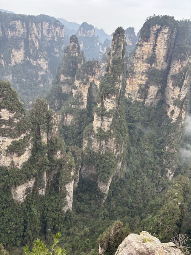 张家界大峡谷旅行图片 4