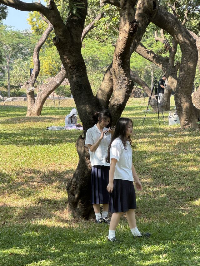 中山公园旅行图片 7