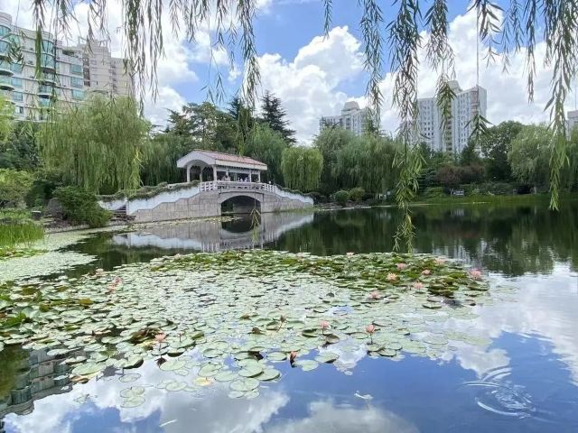曲阳公园旅行图片 3