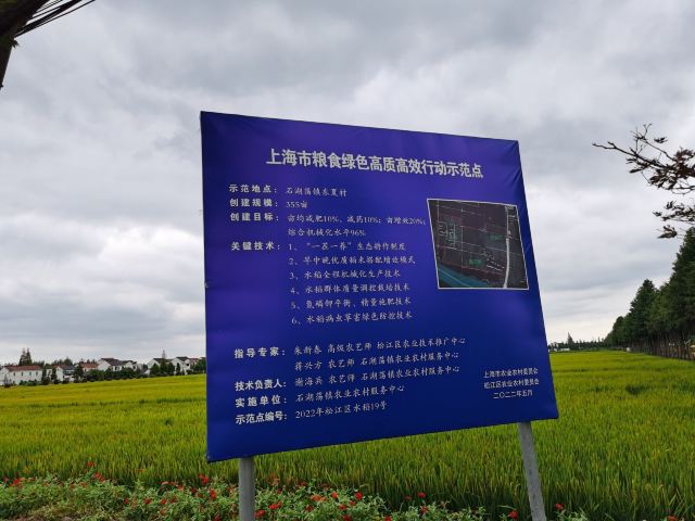 上海浦江之首旅行图片 4