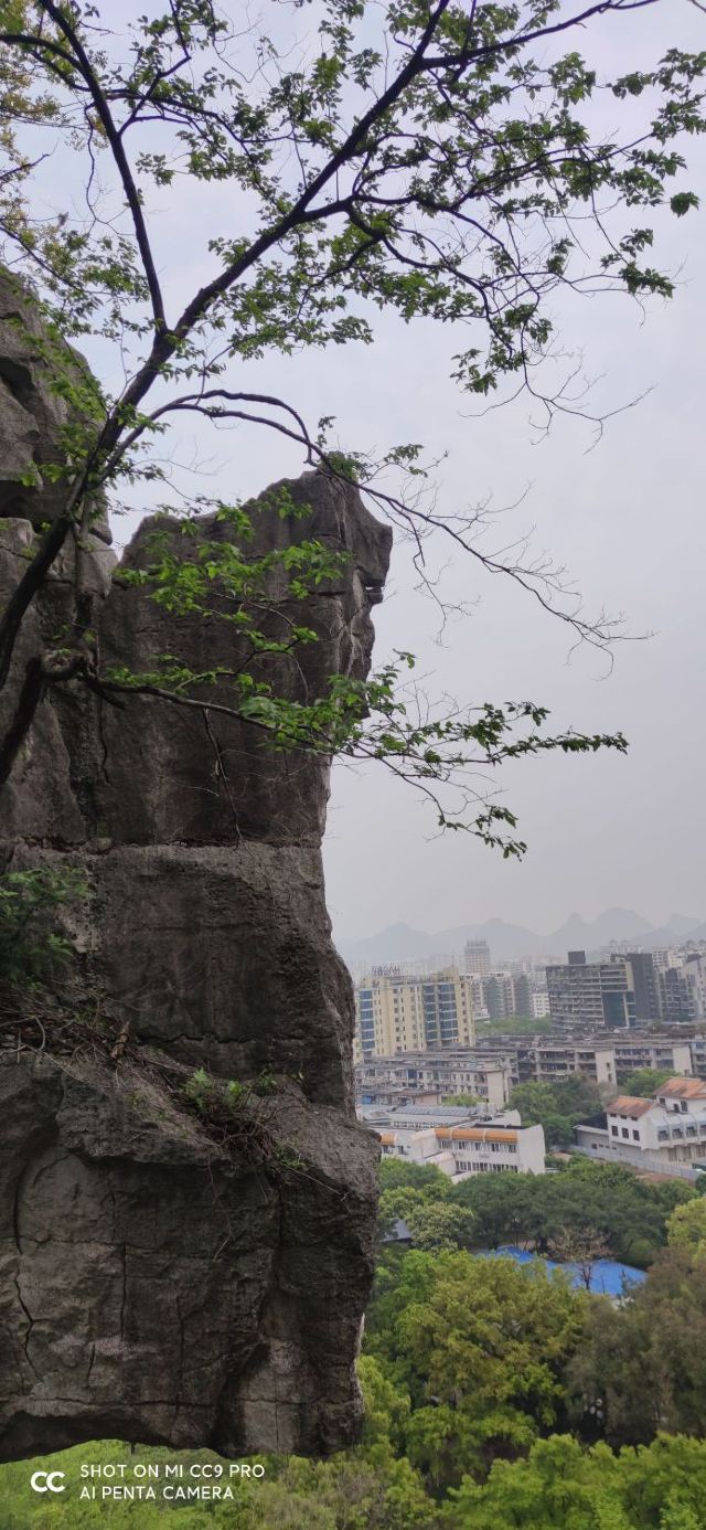 南溪山公园旅行图片 5