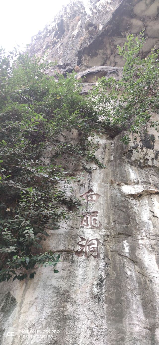 南溪山公园旅行图片 1
