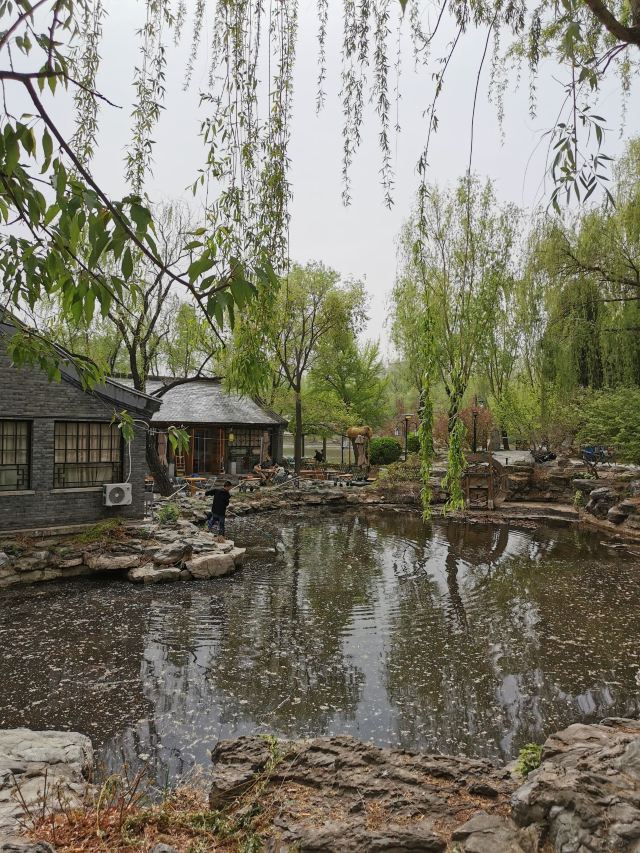 柳荫公园旅行图片 3