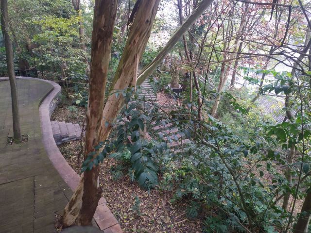 武当山旅行图片 2