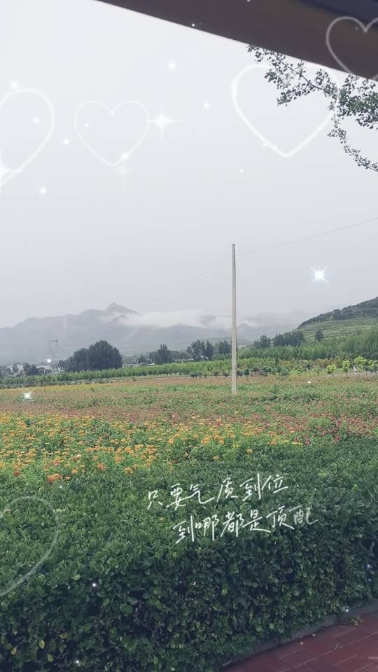 左右山谷亲子度假区(暂停开放)旅行图片 6