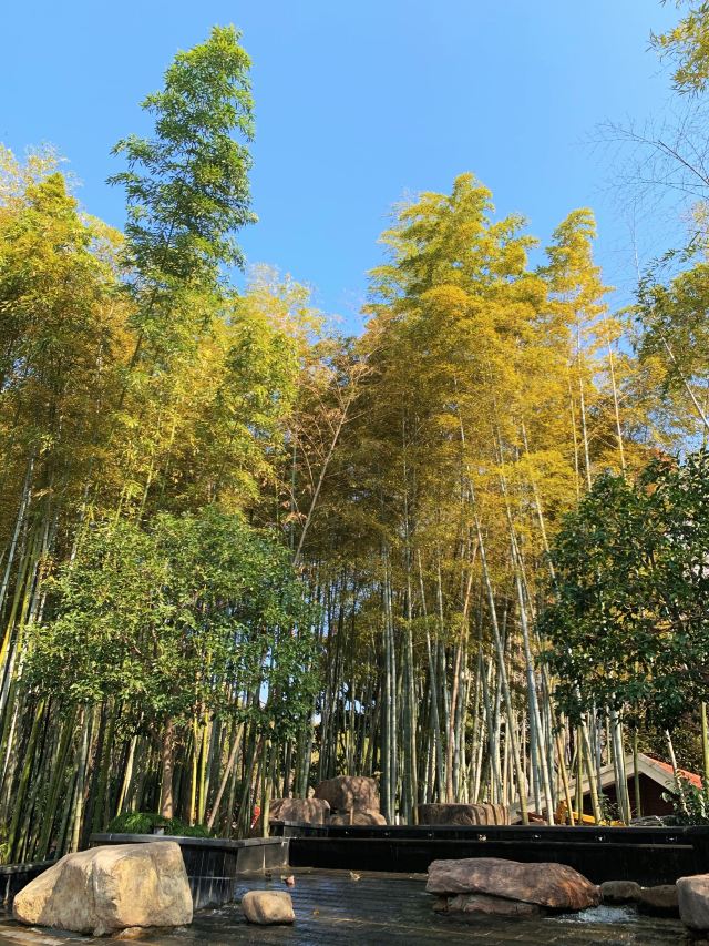 徐家汇公园旅行图片 6