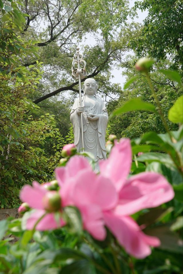 慈觉禅寺旅行图片 11