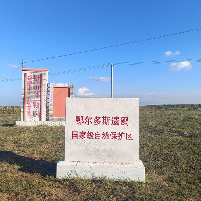 鄂尔多斯遗鸥国家级自然保护区旅行图片 1