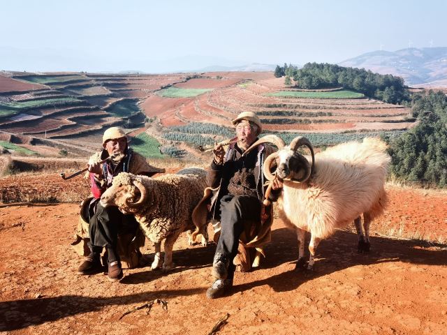 乐谱凹旅行图片 1
