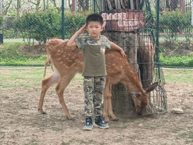 岭南大地百草园旅行图片 3