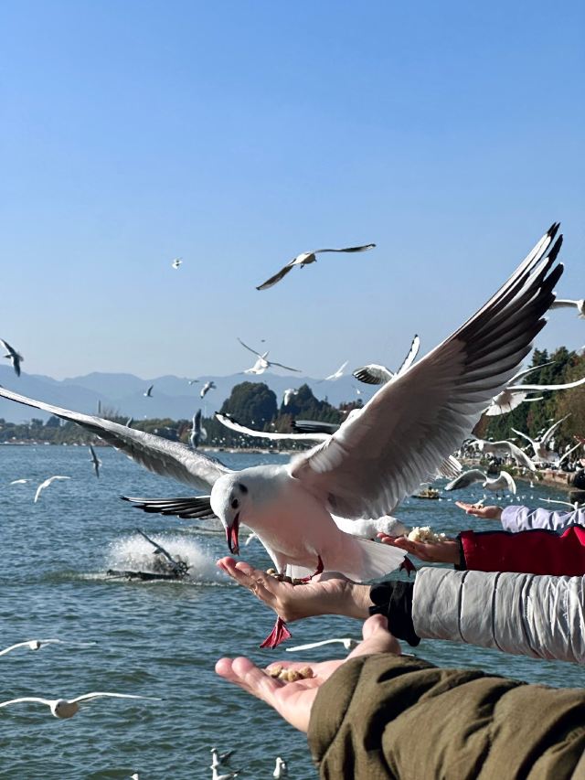 海洪湿地泼水广场旅行图片 3