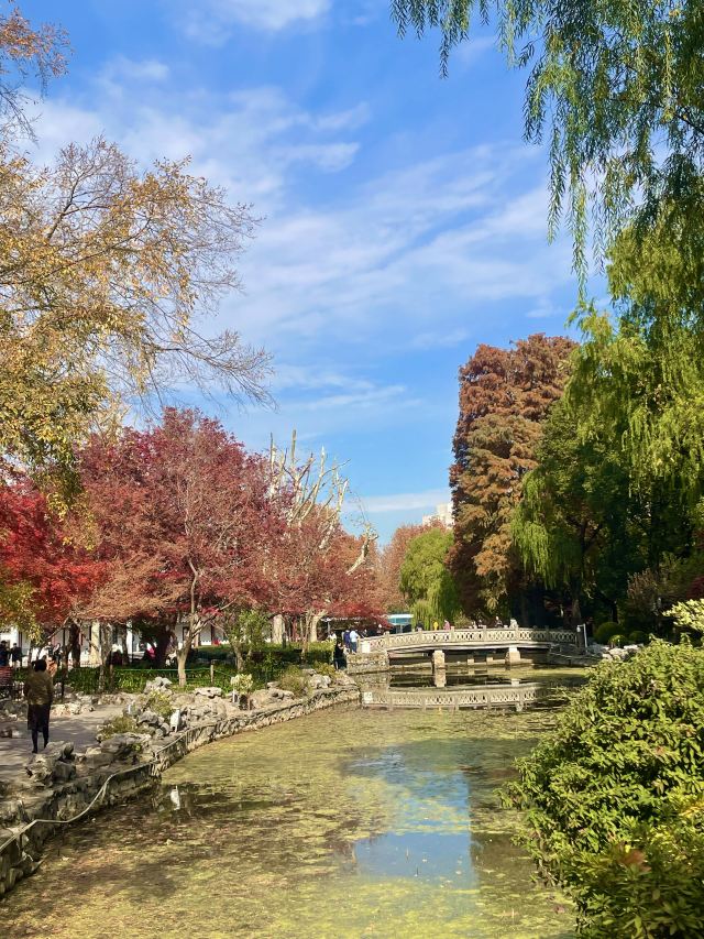 上海鲁迅公园旅行图片 13