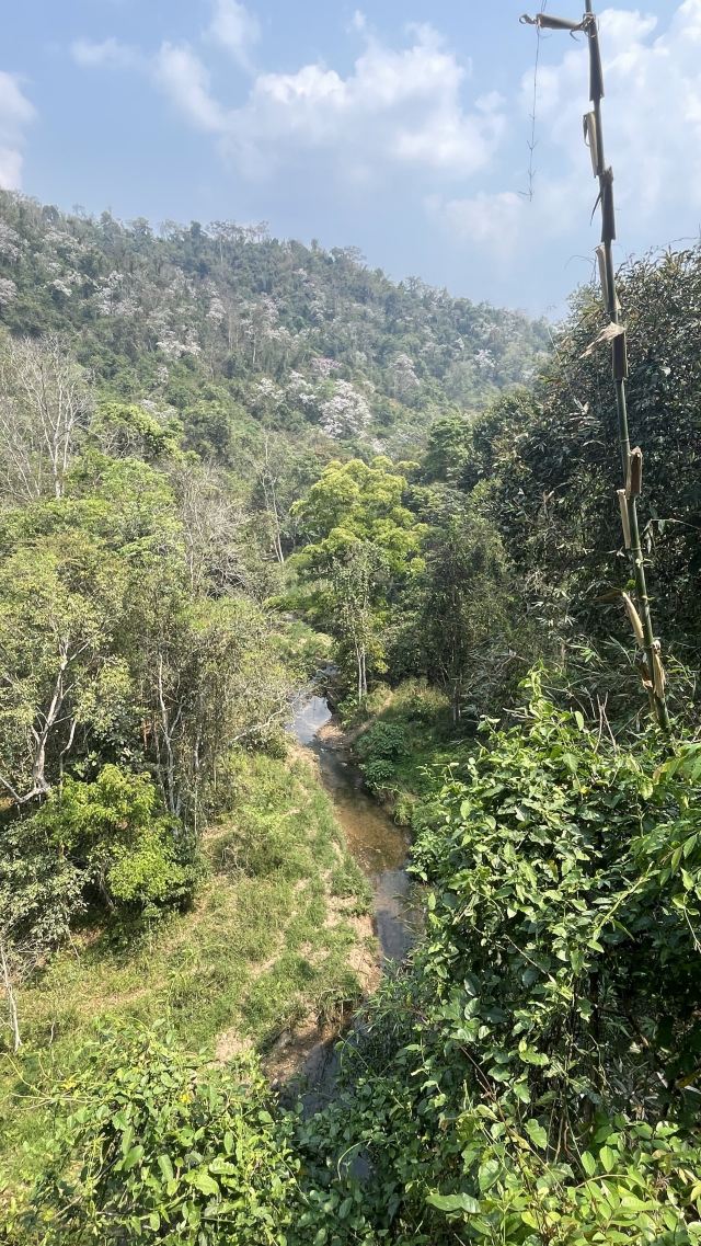 野象谷景区旅行图片 2