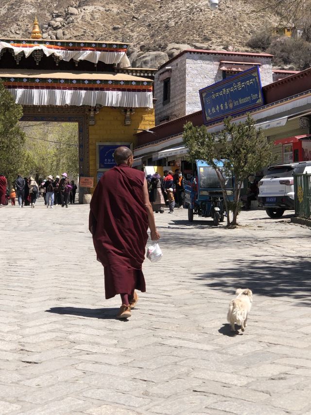 色拉寺旅行图片 4